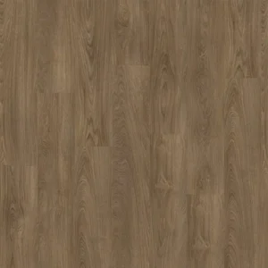 TEXAS CHESTNUT OAK 51864