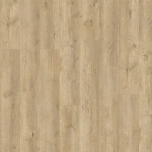 KENTUCKY GOLDEN OAK 53452